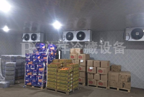 广州出售蔬菜冷藏库厂家